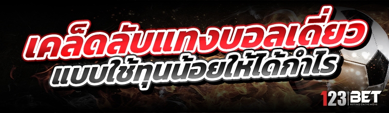 เคล็ดลับแทงบอลเดี่ยว แบบใช้ทุน