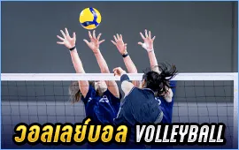 วอลเลย์บอล